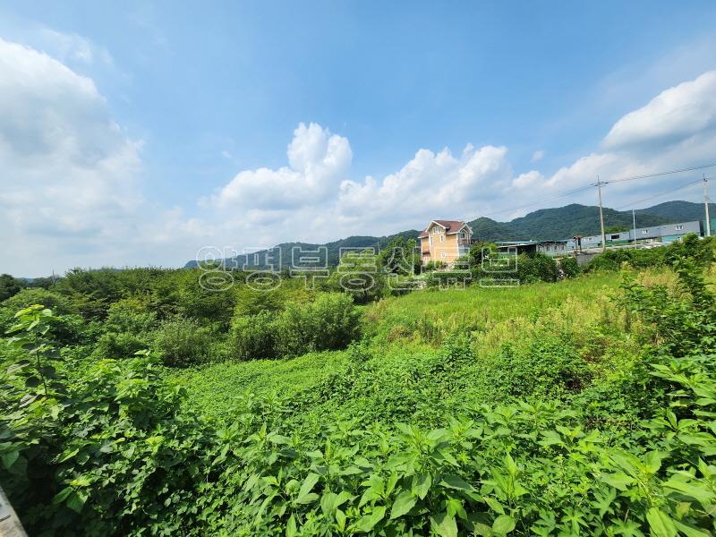 6번국도 접근성 좋은 벗나무가 많은 넓은 토지_14