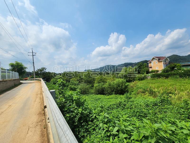 6번국도 접근성 좋은 벗나무가 많은 넓은 토지_15