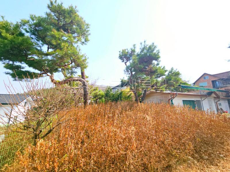 2차선 도로 접근성 좋은  200평대 입지 좋은 곳의 토지 매매_16
