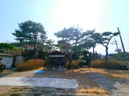 2차선 도로 접근성 좋은  200평대 입지 좋은 곳의 토지 매매_썸네일_17