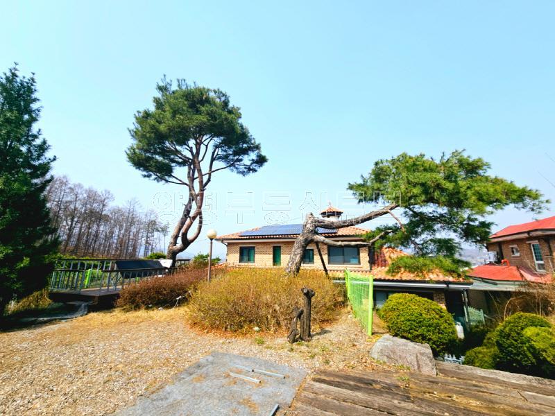 2차선 도로 접근성 좋은  200평대 입지 좋은 곳의 토지 매매_18