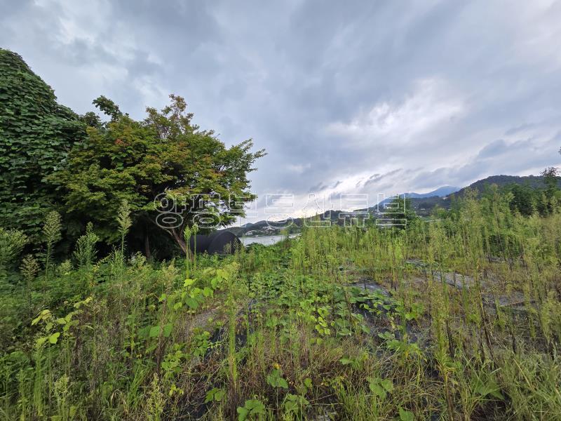 88번 국도 2차선 도로변 접한 남한강 접한 토지 급매(경매중)_10