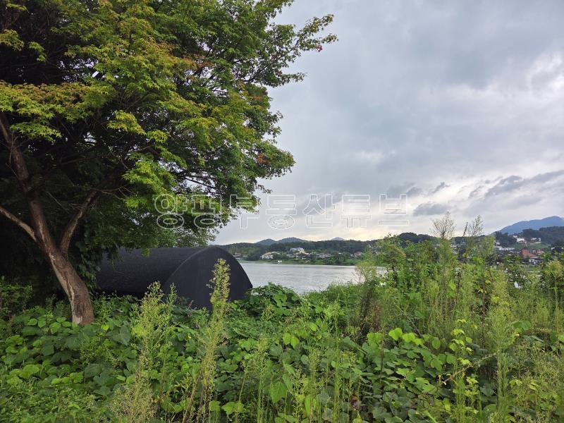 88번 국도 2차선 도로변 접한 남한강 접한 토지 급매(경매중)_11
