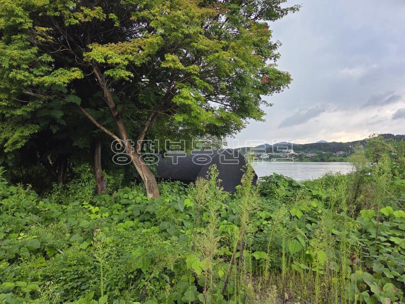 88번 국도 2차선 도로변 접한 남한강 접한 토지 급매(경매중)_12