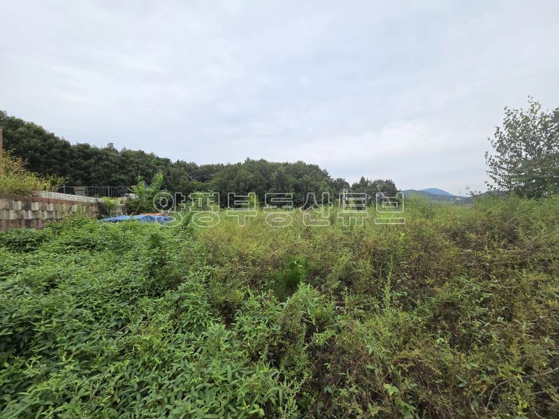 세월리 주택단지내 작은 평수의 토지로 멀리 남한강이 조망됨_8