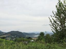 세월리 주택단지내 작은 평수의 토지로 멀리 남한강이 조망됨_썸네일_9