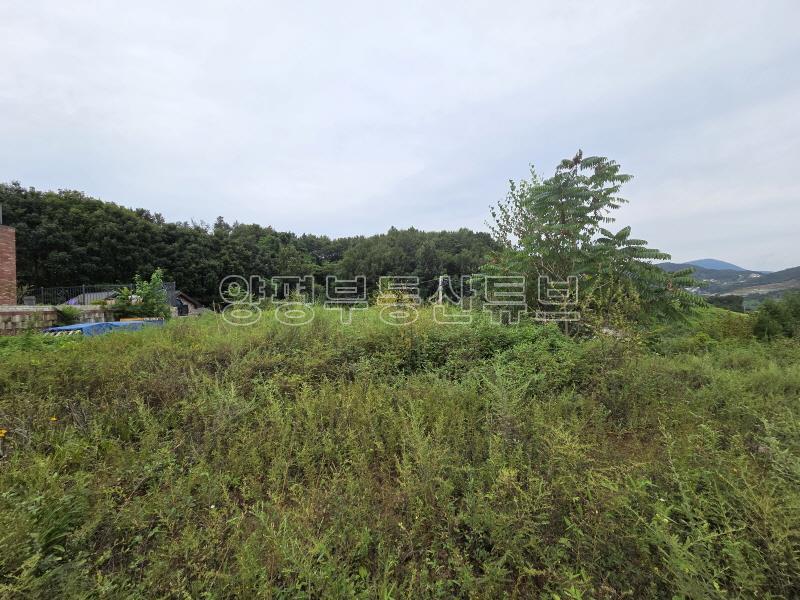 세월리 주택단지내 작은 평수의 토지로 멀리 남한강이 조망됨_19