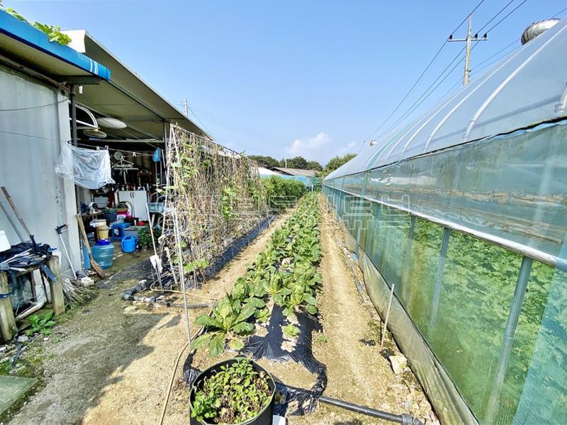 88번 지방도 근접하고 국유지 도로 접한  창고가 있으며 전 335평  농림지역 토지 매매_4