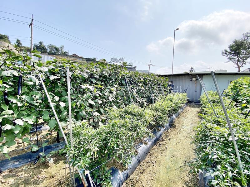 88번 지방도 근접하고 국유지 도로 접한  창고가 있으며 전 335평  농림지역 토지 매매_9