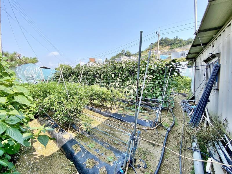 88번 지방도 근접하고 국유지 도로 접한  창고가 있으며 전 335평  농림지역 토지 매매_10