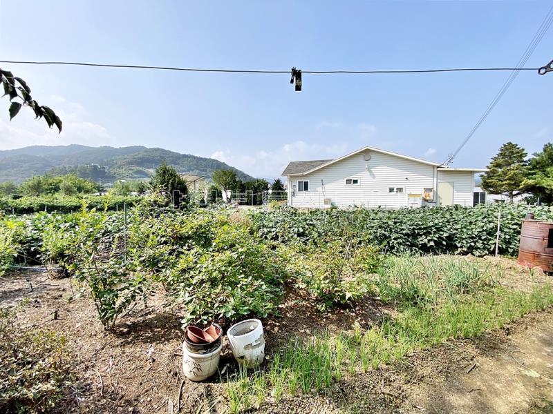 88번 지방도 근접하고 국유지 도로 접한  창고가 있으며 전 335평  농림지역 토지 매매_15