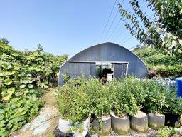 88번 지방도 근접하고 국유지 도로 접한  창고가 있으며 전 335평  농림지역 토지 매매_썸네일_18