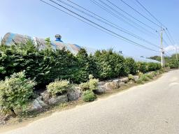 88번 지방도 근접하고 국유지 도로 접한  창고가 있으며 전 335평  농림지역 토지 매매_썸네일_19
