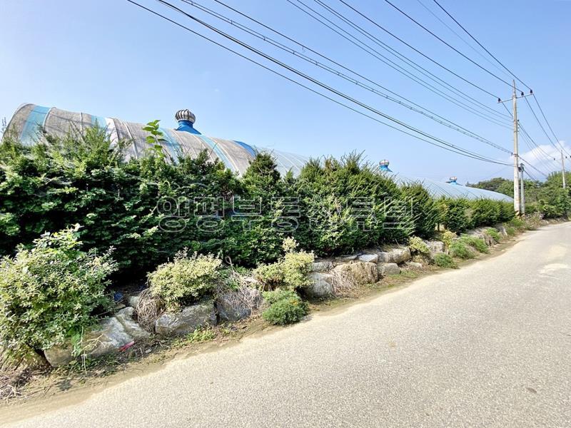 88번 지방도 근접하고 국유지 도로 접한  창고가 있으며 전 335평  농림지역 토지 매매_19