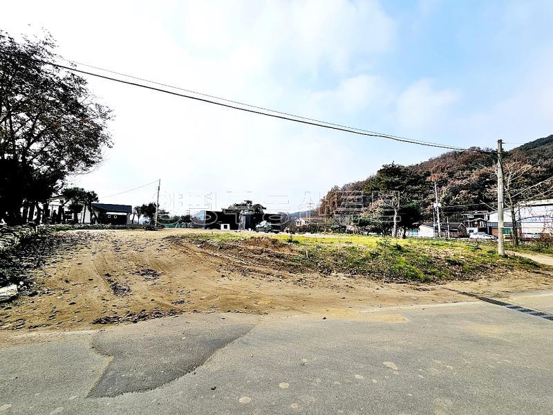 맑고 깨끗한 냇가와 접한 토지이며, 2차선 30m, 37번 국도 500m 접근성 좋은 토지_9