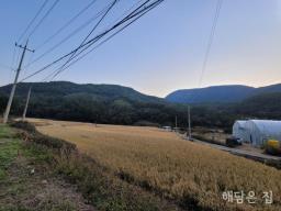 용문면 삼성리  273평의 남향 도로지분 없는 알땅 토지!