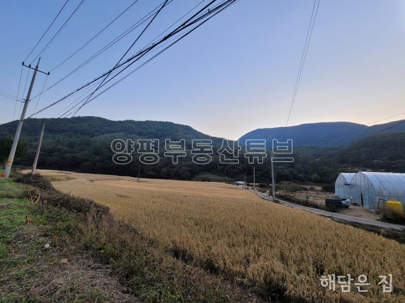 용문면 삼성리  273평의 남향 도로지분 없는 알땅 토지!_1