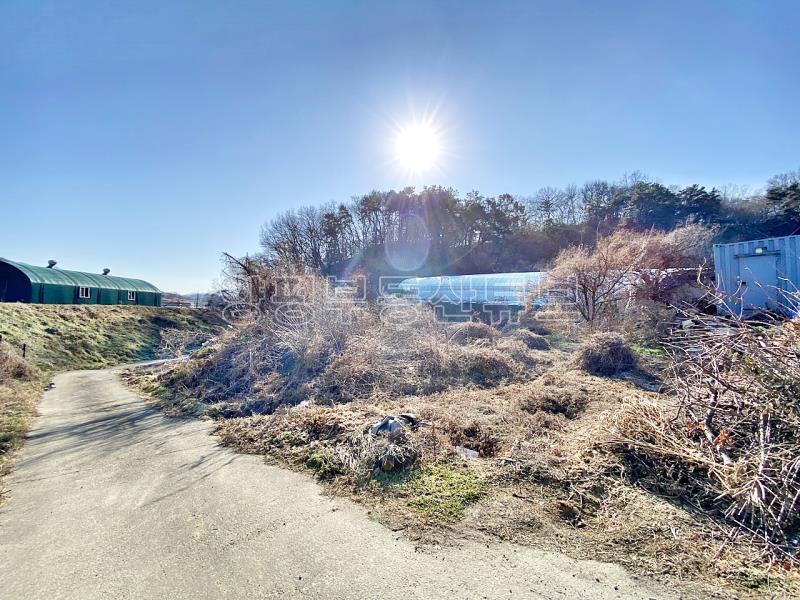 37번 국도 인근의 토지로 구거와 접하고 종중 땅과 접한 8천만원대 토지_2