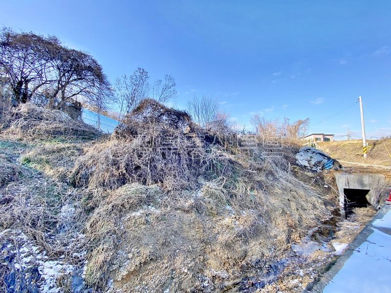 37번 국도 인근의 토지로 구거와 접하고 종중 땅과 접한 8천만원대 토지_7