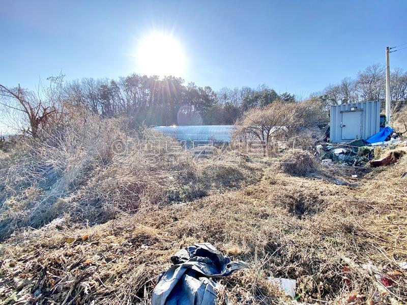 37번 국도 인근의 토지로 구거와 접하고 종중 땅과 접한 8천만원대 토지_9