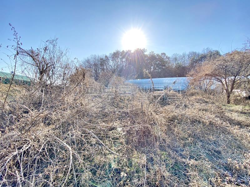 37번 국도 인근의 토지로 구거와 접하고 종중 땅과 접한 8천만원대 토지_10