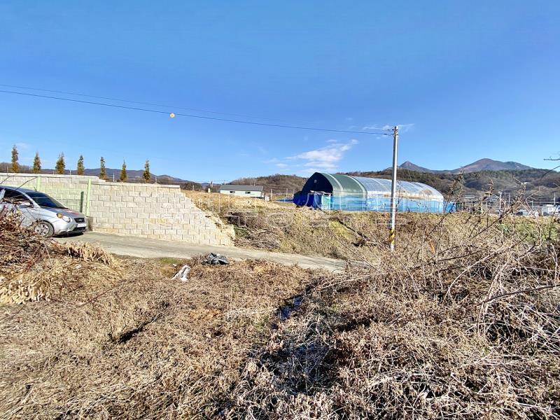 37번 국도 인근의 토지로 구거와 접하고 종중 땅과 접한 8천만원대 토지_11