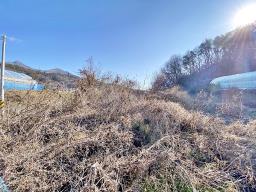 37번 국도 인근의 토지로 구거와 접하고 종중 땅과 접한 8천만원대 토지_썸네일_12