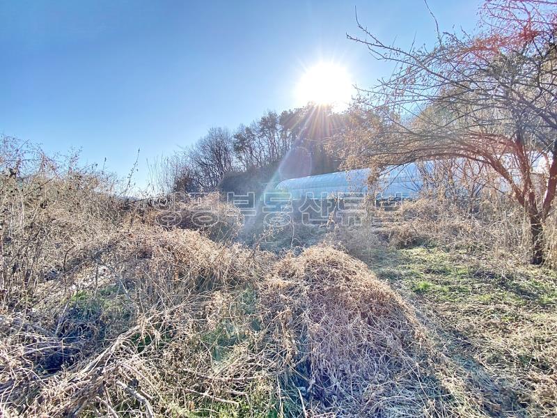 37번 국도 인근의 토지로 구거와 접하고 종중 땅과 접한 8천만원대 토지_13