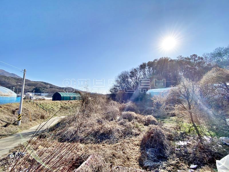 37번 국도 인근의 토지로 구거와 접하고 종중 땅과 접한 8천만원대 토지_15