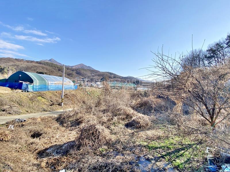 37번 국도 인근의 토지로 구거와 접하고 종중 땅과 접한 8천만원대 토지_16
