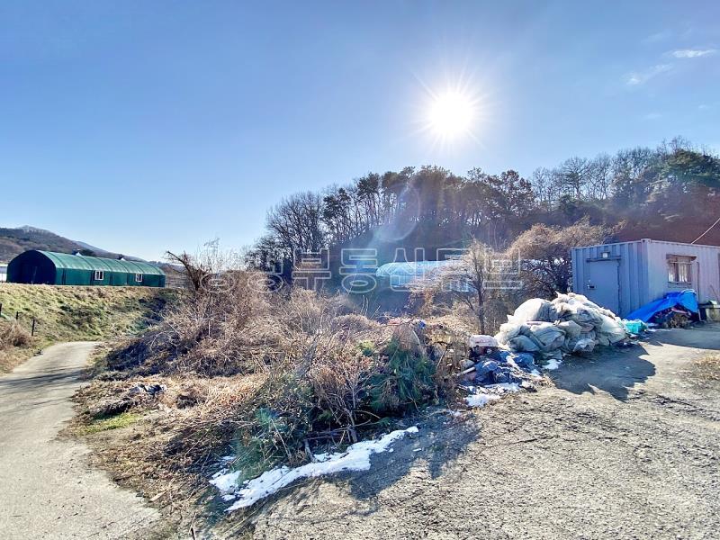 37번 국도 인근의 토지로 구거와 접하고 종중 땅과 접한 8천만원대 토지_17